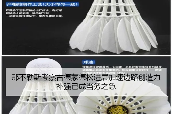 那不勒斯考察古德蒙德松进展加速边路创造力补强已成当务之急